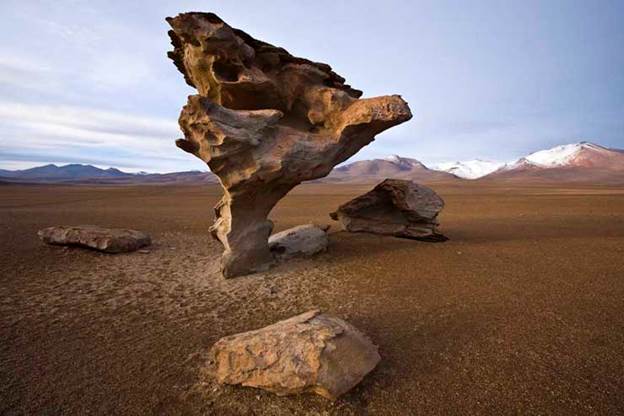 http://www.georgesteinmetz.com/image_collections/altiplano/main/STNMTZ_20080117_14548.jpg