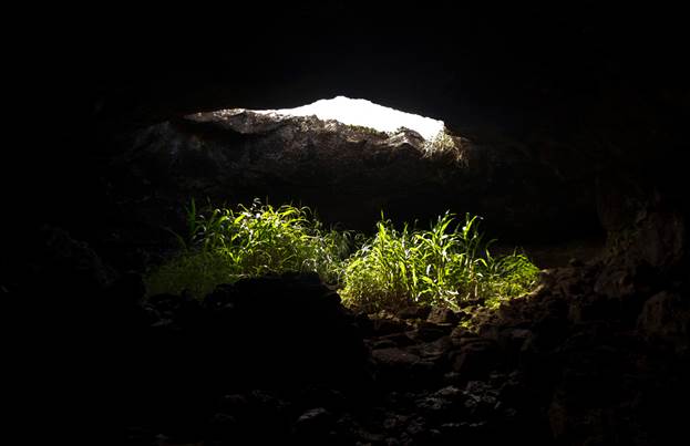 https://www.easterisland.travel/images/media/images/nature/ana-te-pahu-banana-cave-opening.jpg